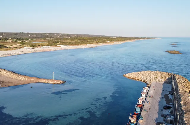 Momenti a bordo di Pharus Experience Boat